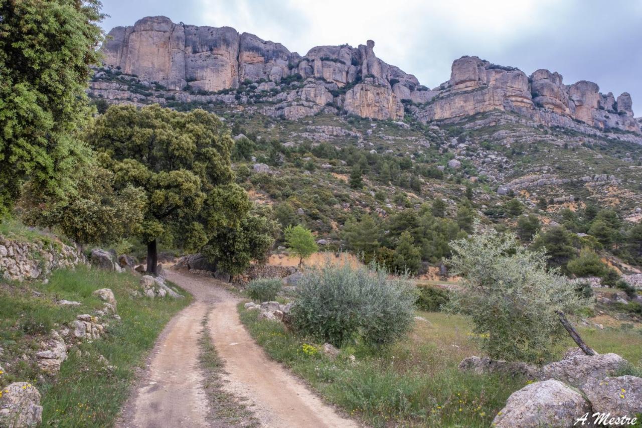 L' Alzina Holiday home Falset